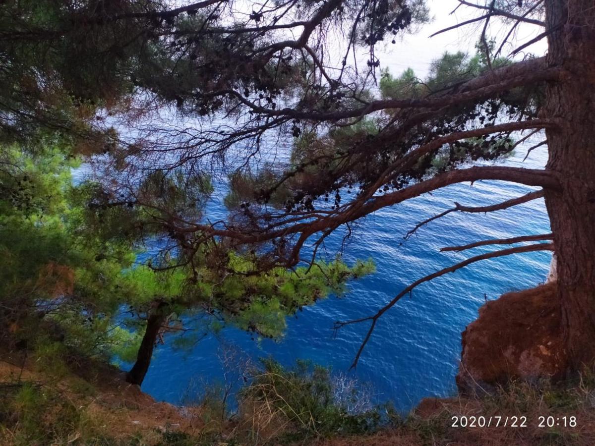 Appartement Apartamenti Enjoy à Petrovac Extérieur photo
